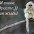 ·٠●•ღ✿ღ КСЕНИЯ